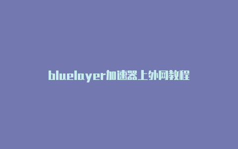 bluelayer加速器上外网教程-加速器