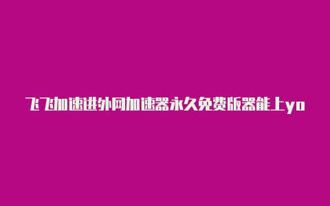 飞飞加速进外网加速器永久免费版器能上youtube吗