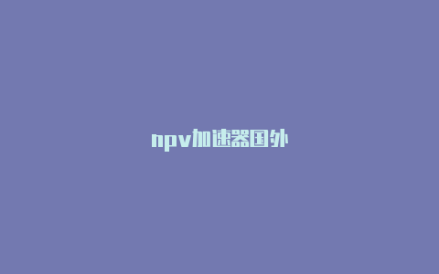 npv加速器国外