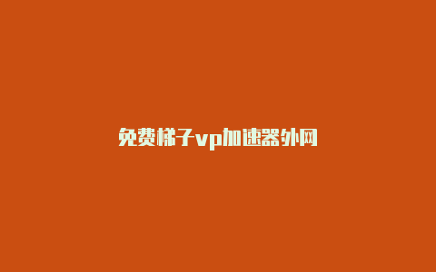 免费梯子vp加速器外网