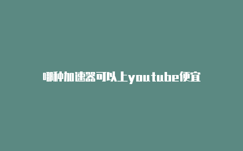 哪种加速器可以上youtube便宜